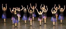 Gala de danse classique adultes 2026 